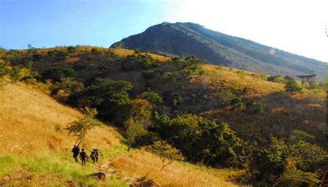 taman nasional di banyuwangi